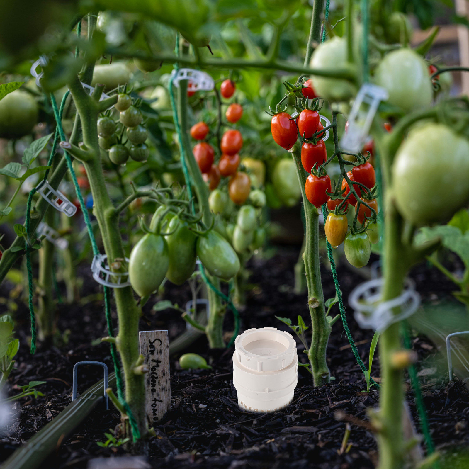 Eingelassener Kunststoff-Wurmk – Compost Bin Bewertung und Preis
